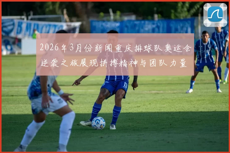 2026年3月份新闻重庆排球队奥运会逆袭之旅展现拼搏精神与团队力量的辉煌篇章