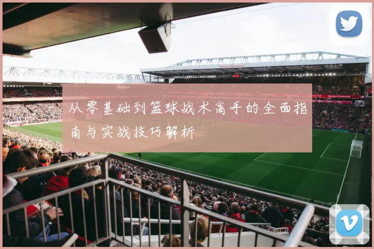 从零基础到篮球战术高手的全面指南与实战技巧解析