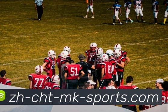 MK体育平台生态图