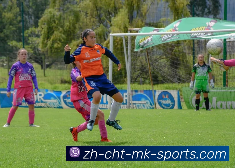 MK体育APP 封面图